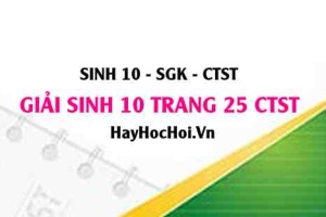 Giải Sinh 10 trang 25 Chân trời sáng tạo SGK